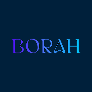 Logo de la empresa Borah Digital Labs SL